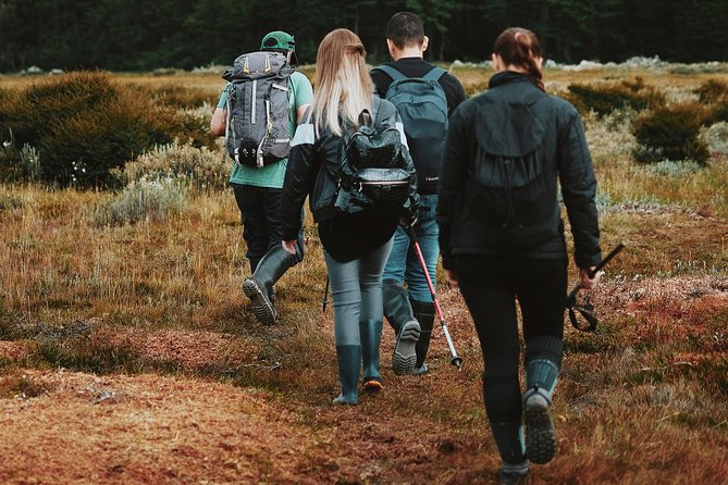 Emerald Lagoon Trekking - Participant Reviews and Feedback
