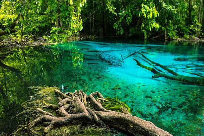 Emerald Pool, Hot Spring Waterfall, Tiger Cave Temple From Krabi - Pricing and Booking