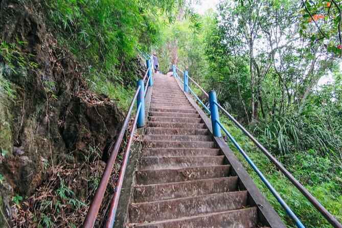 Emerald Pool: Jungle Tour, Private Full Day With Lunch - Transportation and Accessibility