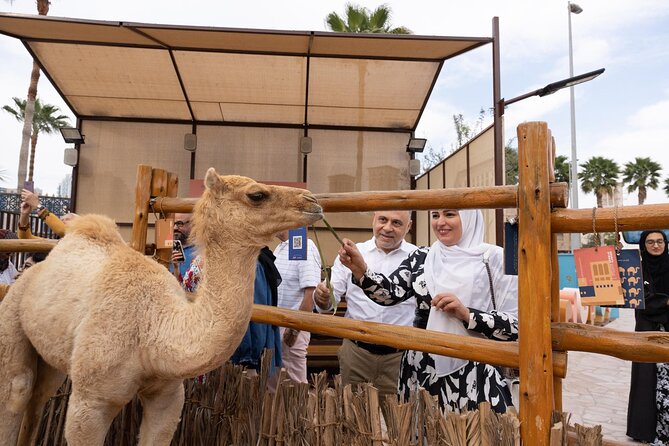 Emirati Hospitality Experience & Old Dubai Bus Tour | Heritage Express - Customer Reviews and Ratings
