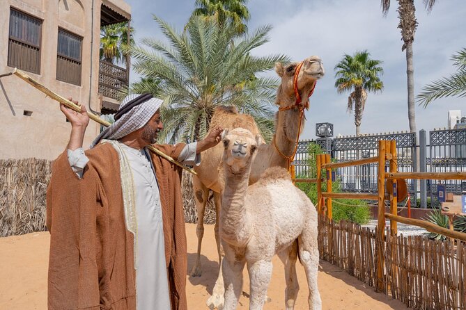 Emirati Hospitality Experience & Old Dubai Bus Tour | Heritage Express - Immersive Emirati Hospitality