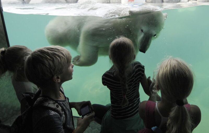 Emmen: Wildlands Adventure Zoo and Rimbula River Cruise - Exploring the Three Biotopes
