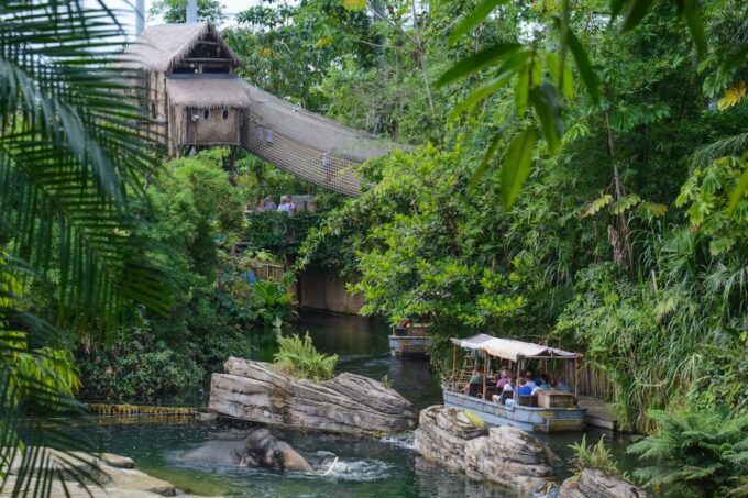Emmen: Wildlands Adventure Zoo and Rimbula River Cruise - Interactive Shows and Activities