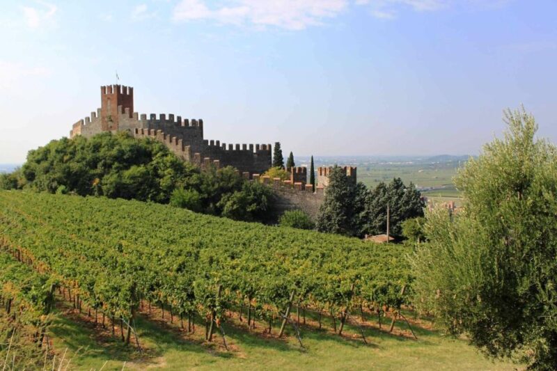 Emotional Wine Tasting in a Castle Just Steps From Verona - Emotional Wine Tasting
