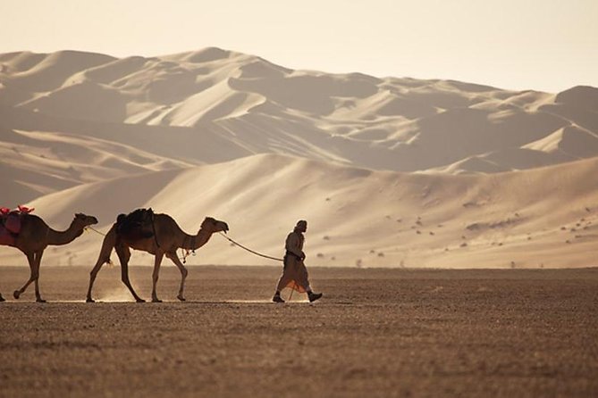 Empty Quarter & Lost City From Salalah - Whats Included in the Tour