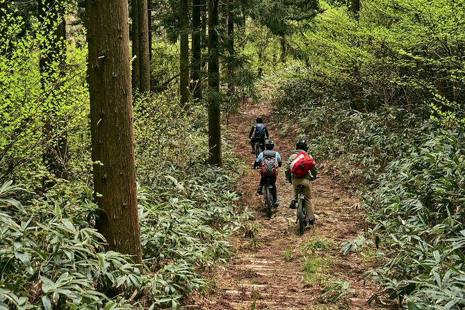 Emtb Tour to See the Beautiful Islands From the Summit - Tour Start Time