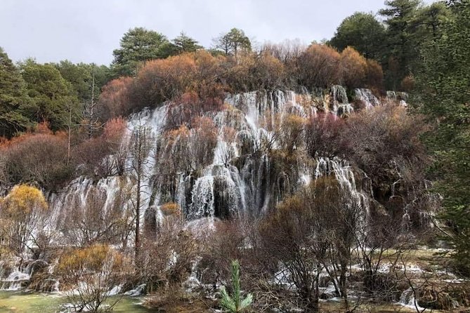 Enchanted City Excursion + Cuervo River Birth - Reviews and Ratings