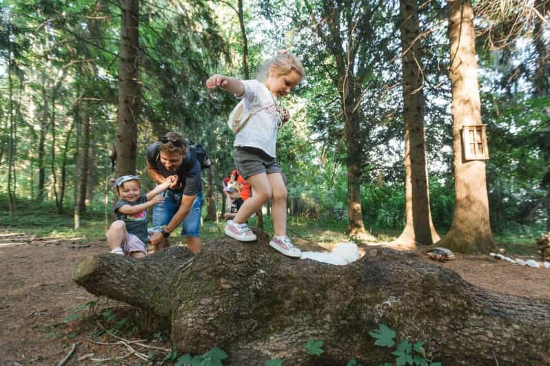 Enchanted Forest Family Avdenture in Lake Bled - Key Points