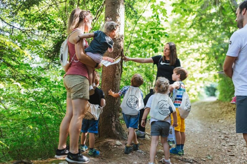 Enchanted Forest Family Avdenture in Lake Bled - Inclusions and Amenities