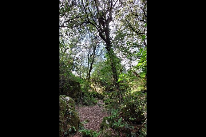 Enchanted Forest Hike and Wine Tasting Private Tour - Additional Information