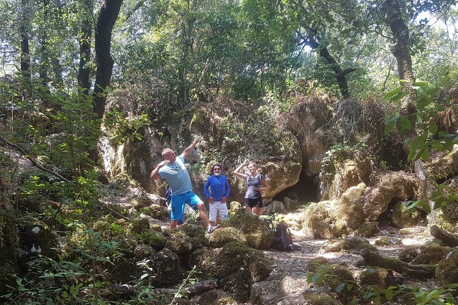 Enchanted Forest Hike and Wine Tasting Private Tour - Recap
