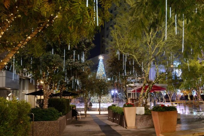 Enchanted Holiday Walk: Phoenix's Festive Delight - Frequently Asked Questions