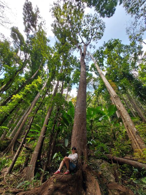 Enchanted Philippines: 10 Days of Adventure. - Age Restrictions