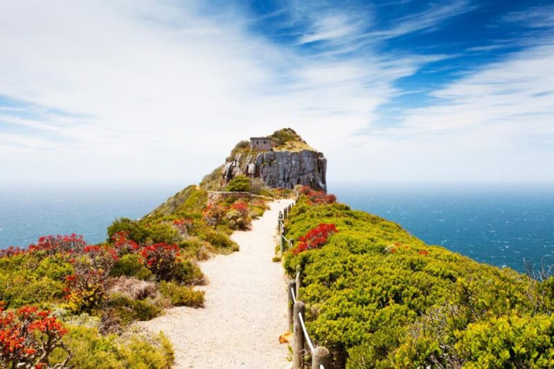 Enchanting Cape Point & Boulder's Penguin Adventure - Boulders Penguin Colony