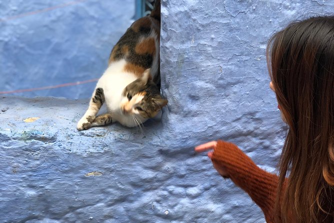 Enchanting Chefchaouen: Discover the Magical Blue City on Budget - Included Tour Features