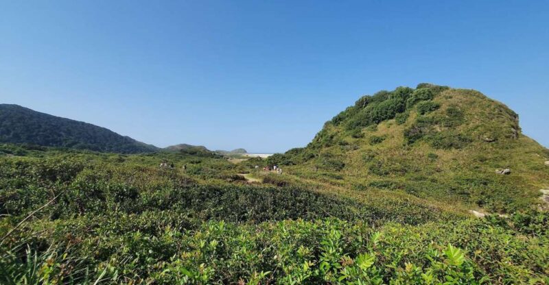 Enchanting Escape: Discovering Ilha Do Mels Hiden Treasure - Ilha Do Mels Hidden Gems
