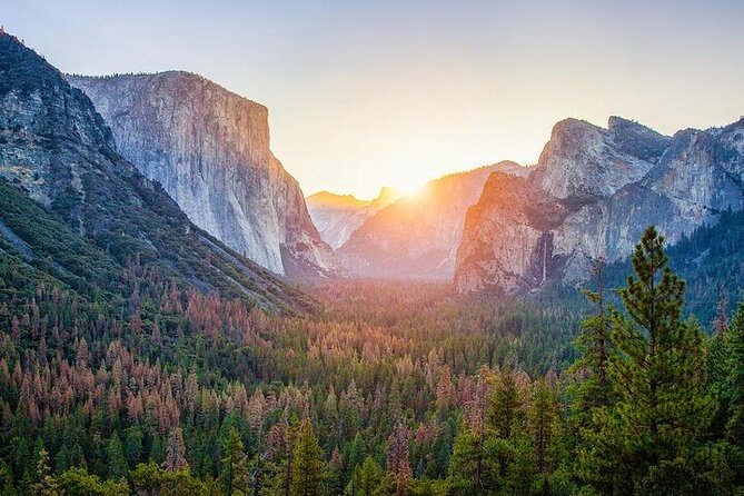 Enchanting Full Day Yosemite National Park Tour From Oakland - Key Points