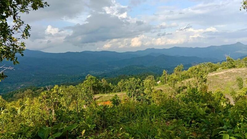 Enchanting Jungle Full-Day Trekking in Chiang Mai - Included Amenities