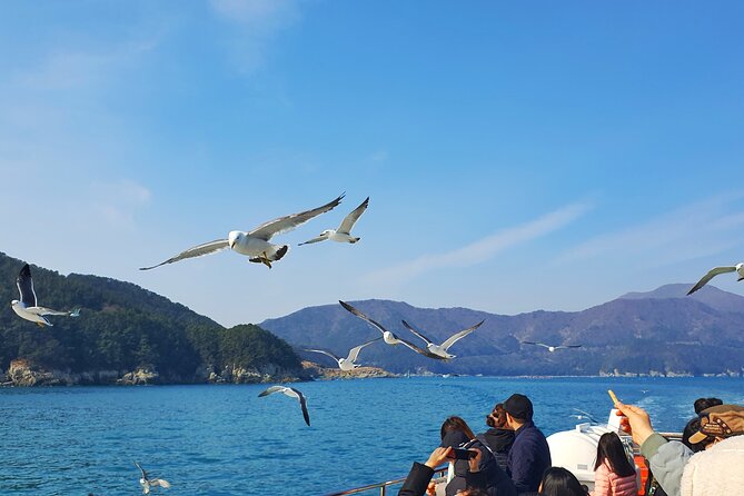 Enchanting Oedo Island Day Tour From Busan - Weather Considerations