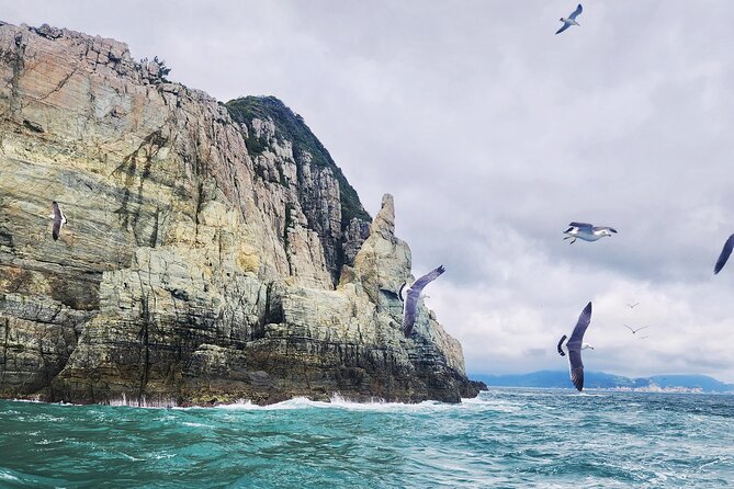 Enchanting Oedo Island Day Tour From Busan - Traveler Feedback