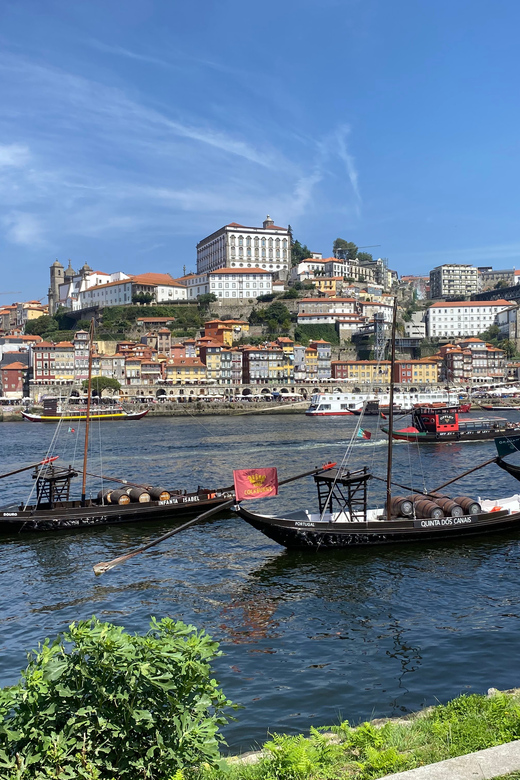 Enchanting Porto, Óbidos, Nazaré, Coimbra - Private Journey - Porto