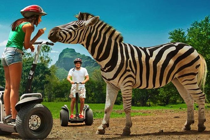 Enchanting South of Mauritius: Full-Day Tour Incl CASELA Park, Lunch & Transfer - Cancellation Policy