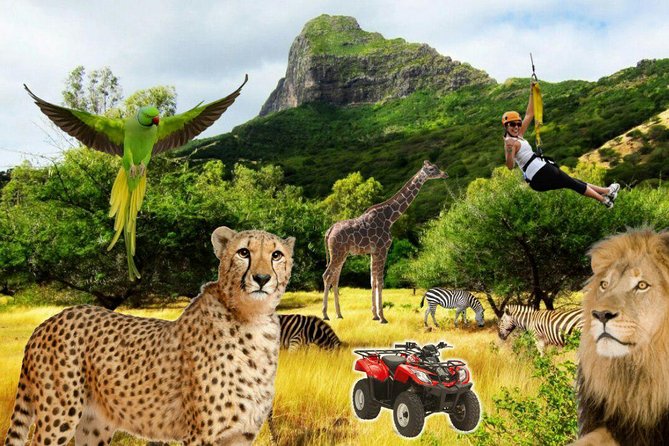 Enchanting South of Mauritius: Full-Day Tour Incl CASELA Park, Lunch & Transfer - Accessibility and Infant Seats