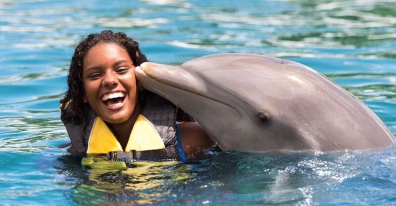 Encounter With Sea Lions and Sharks in Puerto Plata - Experience Highlights
