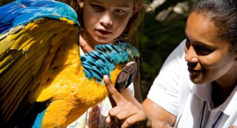 Encounter With Sea Lions and Sharks in Puerto Plata - Itinerary and Activities
