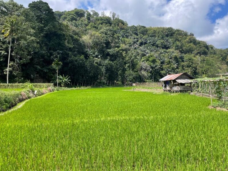 Ende: Traditional Market, Farm, and Traditional Village - Cultural and Historical Insights