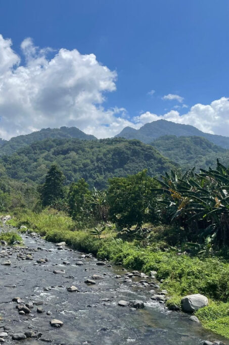 Ende: Traditional Market, Farm, and Traditional Village - Local Market Exploration