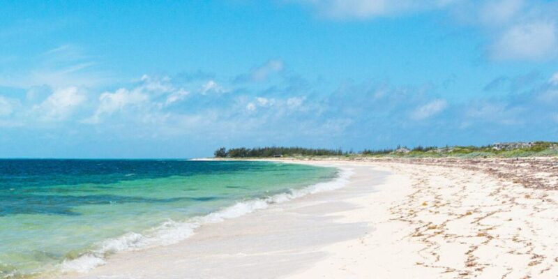 Endless Journey, Explore the Coastal Road by Convertible - Convertible Fleet and Highlights