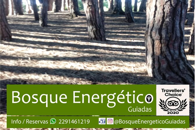 Energetic Forest: Guided Tour - Tour Details and Inclusions