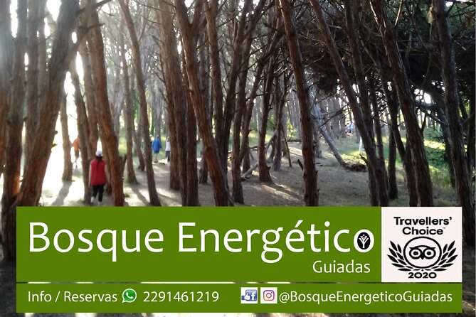 Energetic Forest: Guided Tour - Accessibility and Suitability