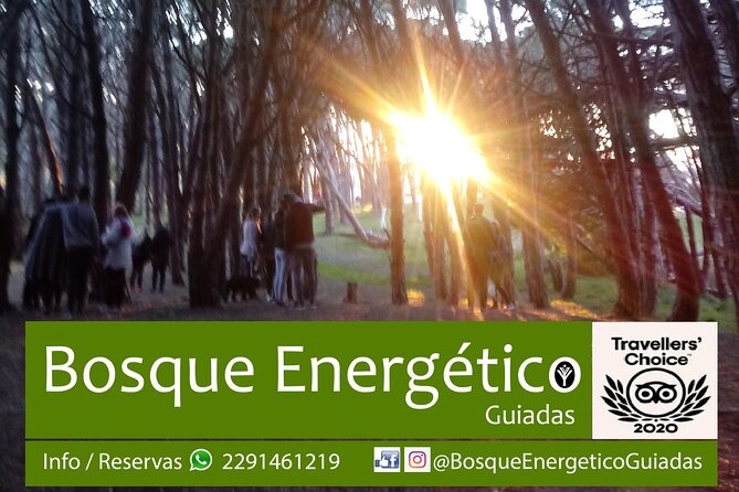 Energetic Forest: Guided Tour - Entrance Fees and Maintenance