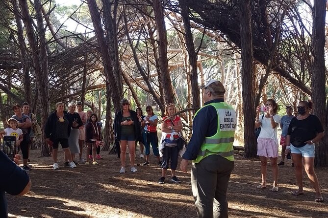 Energy Forest Experience - Inclusions and Logistics