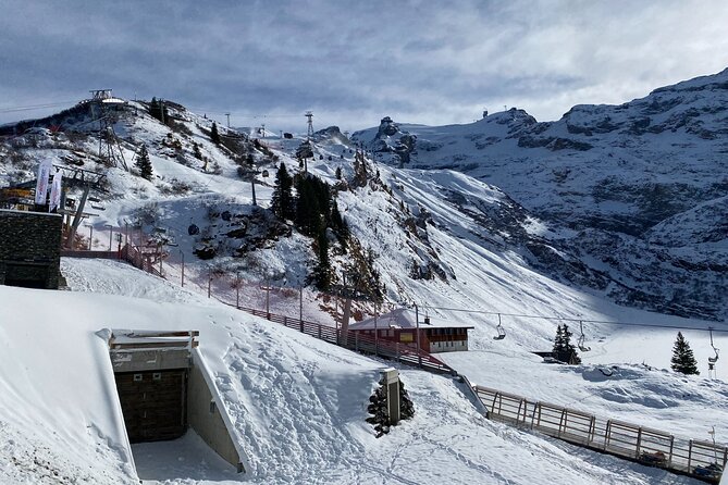 Engelberg, Cheese, and Mt. Titlis Small Group From Zurich - Accessibility Details