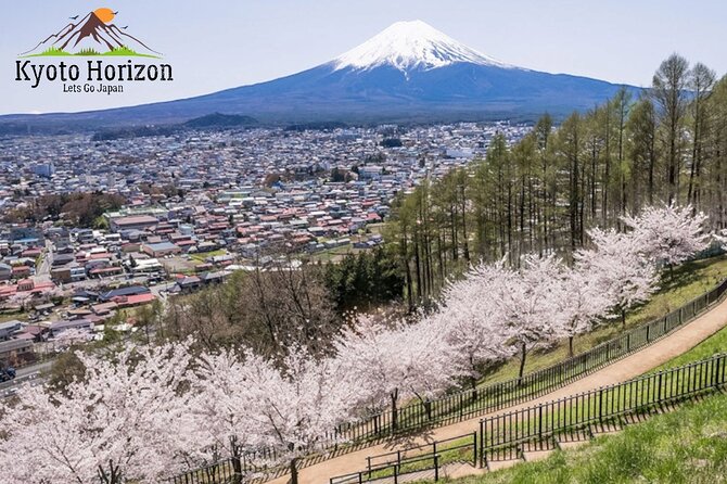 English Guided Mt. Fuji and Lake Kawaguchi Group Tour - Inclusions