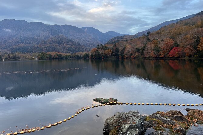 English-Speaking Guided Day Tour of Nikko With a Private Vehicle - Tour Experience and Accessibility