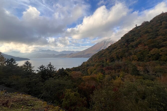 English-Speaking Guided Day Tour of Nikko With a Private Vehicle - Customer Reviews and Feedback