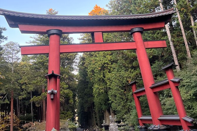 English-speaking Guided Tour:Mount Fuji & Hakone, Private Vehicle - Accessibility and Additional Information