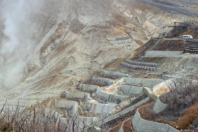 English-speaking Guided Tour:Mount Fuji & Hakone, Private Vehicle - Customer Experience