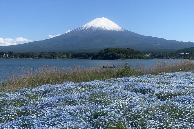 English-speaking Guided Tour:Mount Fuji & Hakone, Private Vehicle - Itinerary