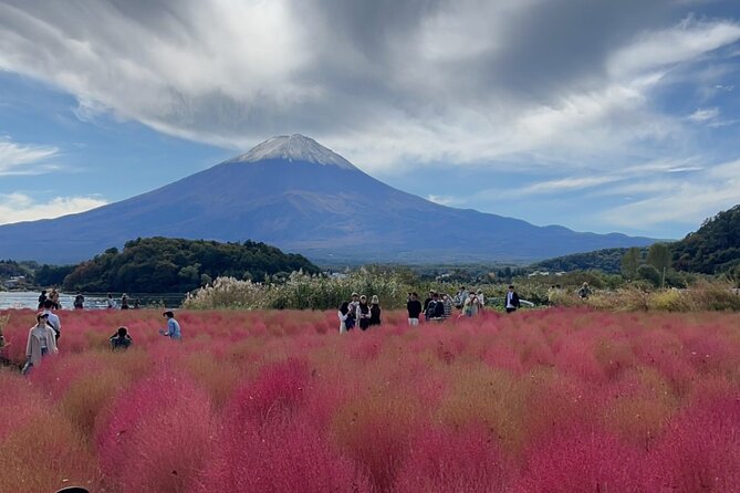 English-speaking Guided Tour:Mount Fuji & Hakone, Private Vehicle - Pricing and Booking