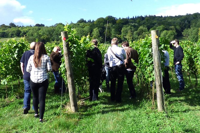 English Wine and Cheese Tour From London - Winery Visits
