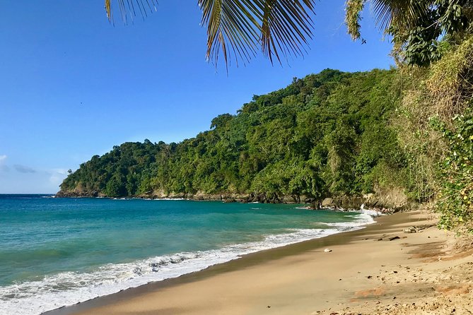 Englishmans Bay Day Trip With Lunch - Pickup and Start Times