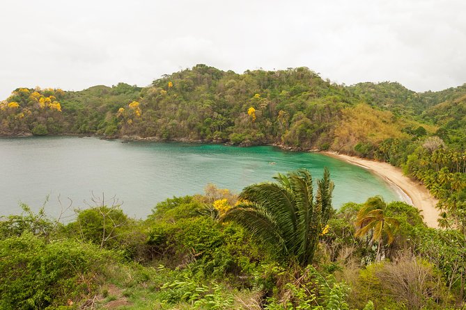 Englishmans Bay Day Trip With Lunch - Participant Reviews