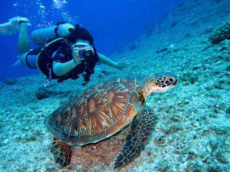 Enhanting 2 Hours Diving in Antalya Any Time of the Day - Activity Overview