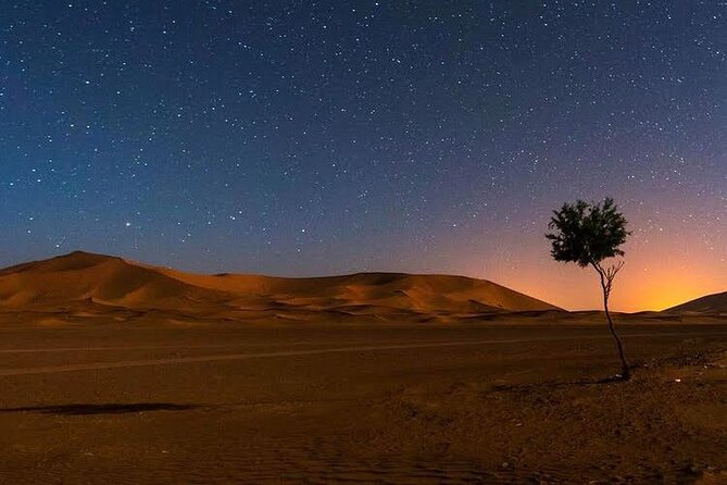 Enjoy 1 Nights in Luxury Berber Tents , Camel Trek,Sandboarding,Atv QUADS - Transportation