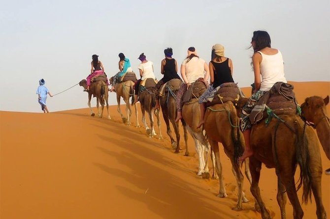 Enjoy 1 Nights in Luxury Berber Tents , Camel Trek,Sandboarding,Atv QUADS - Additional Information